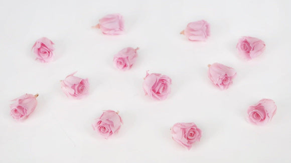 Stabilisierte Rosen Kiara 2 cm - 12 Stück - Bridal pink - Si-nature