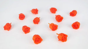 Stabilisierte Rosen Kiara 2 cm - 12 Stück - Orange flame - Si-nature