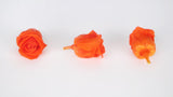 Stabilisierte Rosen Kiara 2 cm - 12 Stück - Orange flame - Si-nature