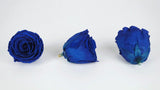 Stabilisierte Rosen Kiara  6 cm - 6 Stück - Ocean blue