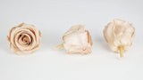 Stabilisierte Rosen Kiara  6 cm - 6 Stück - Nude