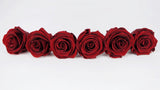 Stabilisierte Rosen Kiara 6 cm - 6 Stück - Royal red - Si-nature