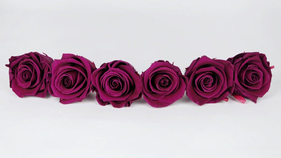 Stabilisierte Rosen Kiara  6 cm - 6 Stück - Velvet plum