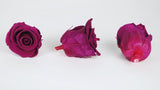 Stabilisierte Rosen Kiara 6 cm - 6 Stück - Velvet plum - Si-nature