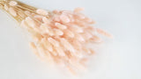 Lagurus getrocknet - 1 Bund - Porcelain pink - Si-nature