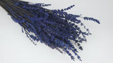 Stabilisierter Lavendel - 1 Bund - Blau