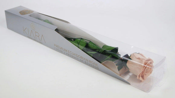 Luxus konservierte Rose mit Stiel 50 cm Kiara  - 1 Stück - Nude