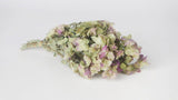 Oregano Kent Blumen getrocknet - 1 Bund - Naturfarbe - Si-nature