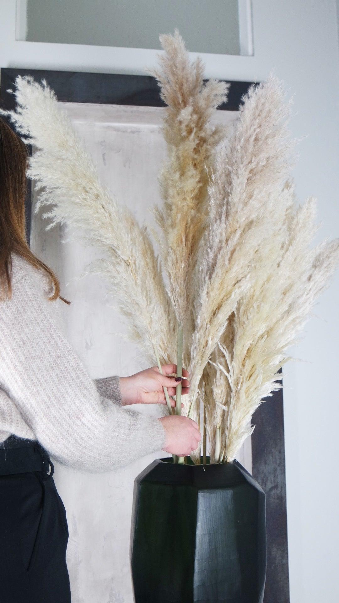 Pampasgras fluffig - Pampas Deko Boho