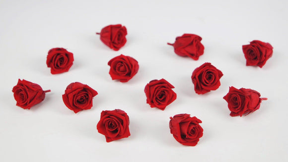 Stabilisierte Rosen Kiara 2 cm - 12 Stück - Vibrant red - Si-nature