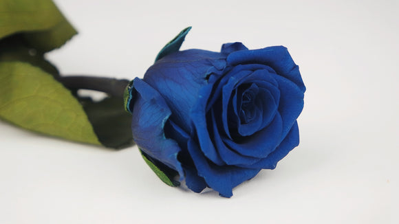 Konservierte Rose mit Stiel 25 cm - 1 Stück - Saphirblau