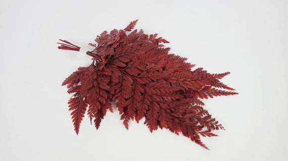 Davalia fern preserved - 6 stems - Red