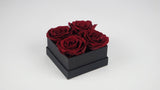 Stabilisierte Rosen 6,5 cm - 6 Stück - Rot