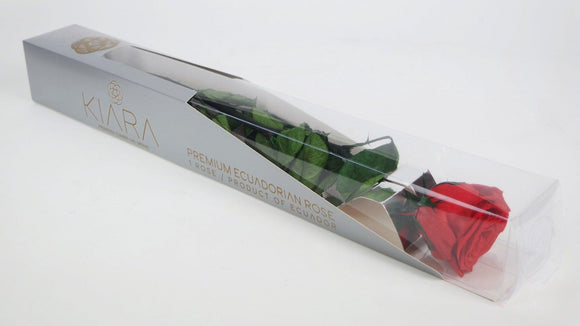 Luxus konservierte Rose mit Stiel 30 cm Kiara  - 1 Stück - Vibrant red
