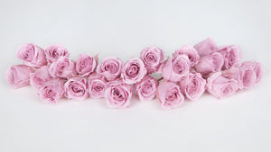 Rosen konserviert Vivian Earth Matters - 24 Köpfe - Crystal pink 111 - Si-nature
